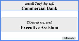 Executive Assistant - Commercial Bank