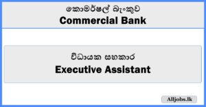 Executive Assistant - Commercial Bank