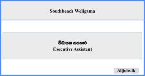 Executive Assistant - Southbeach Weligama