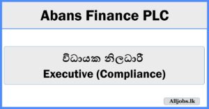 Executive (Compliance) - Abans Finance