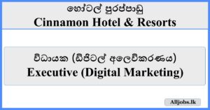 Executive (Digital Marketing) - Cinnamon Hotel & Resorts