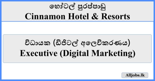 Executive (Digital Marketing) - Cinnamon Hotel & Resorts