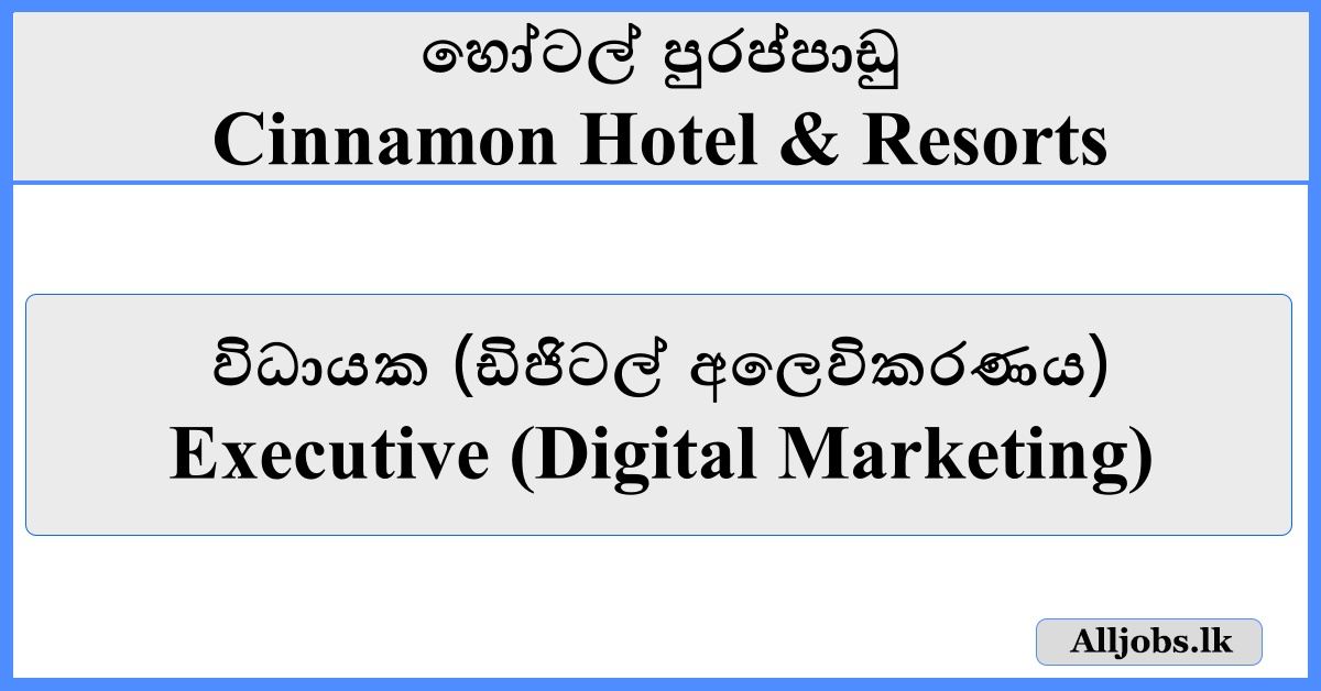 Executive (Digital Marketing) - Cinnamon Hotel & Resorts