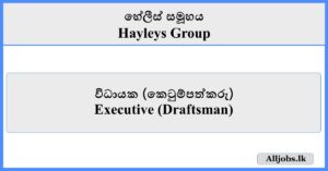 Executive (Draftsman) - Hayleys Group