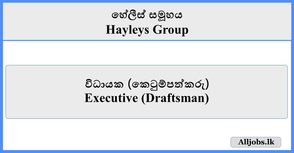 Executive (Draftsman) - Hayleys Group