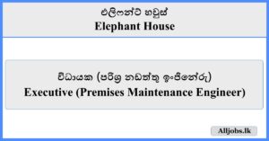Executive - Elephant House