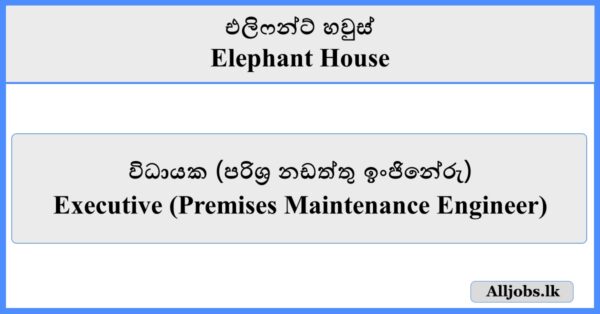 Executive - Elephant House