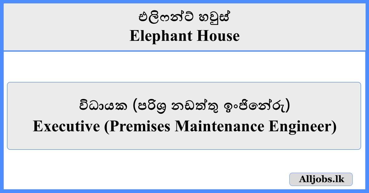 Executive - Elephant House