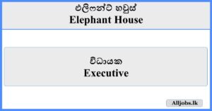 Executive - Elephant House