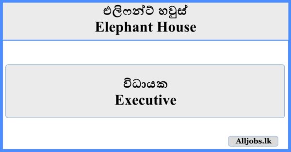 Executive - Elephant House