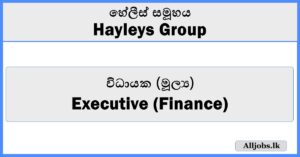 Executive (Finance) - Hayleys Group