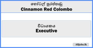 Executive Guest Services-Cinnamon Red Colombo