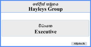 Executive - Hayleys Group