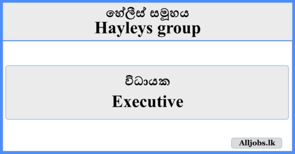 Executive - Hayleys Group