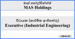 Executive (Industrial Engineering) - MAS Holdings