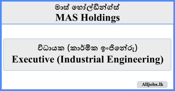 Executive (Industrial Engineering) - MAS Holdings