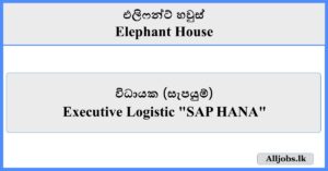 Executive Logistic - Elephant House