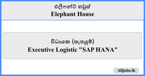 Executive Logistic - Elephant House