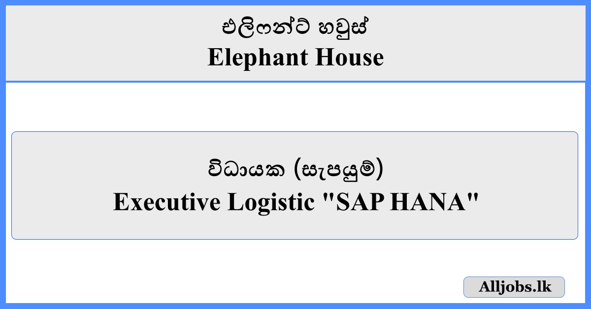 Executive Logistic - Elephant House