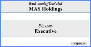 Executive - MAS Holdings