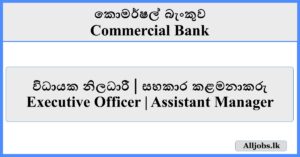 Executive Officer Assistant Manager - Commercial Bank