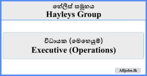 Executive (Operations) - Hayleys Group