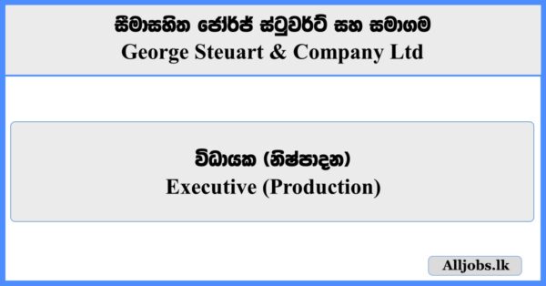 Executive (Production) - George Steuart & Company Ltd