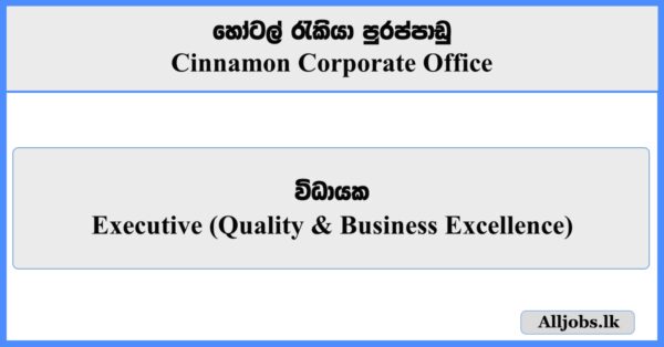 Executive (Quality & Business Excellence) - Cinnamon Corporate Office