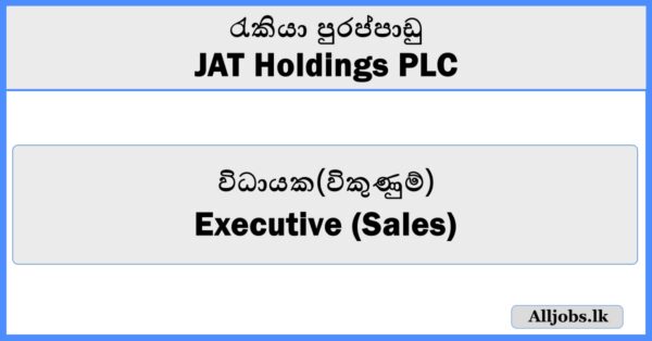 Executive (Sales) - JAT Holdings
