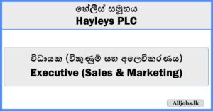 Executive (Sales & Marketing) - Hayleys PLC