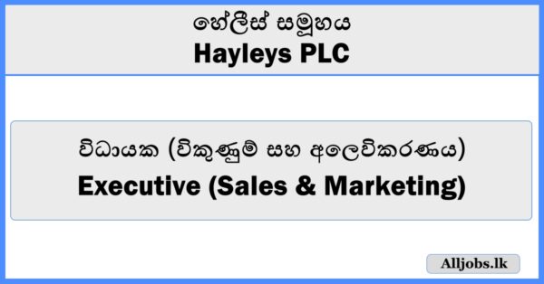 Executive (Sales & Marketing) - Hayleys PLC