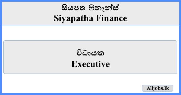 Executive - Siyapatha Finance