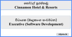 Executive (Software Development) - Cinnamon Hotel & Resorts