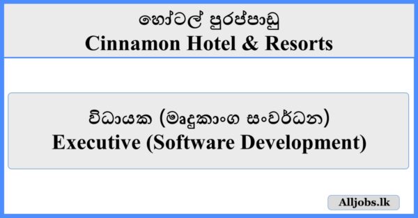 Executive (Software Development) - Cinnamon Hotel & Resorts