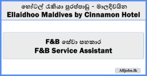 F&B Service Assistant - Ellaidhoo Maldives by Cinnamon Hotel
