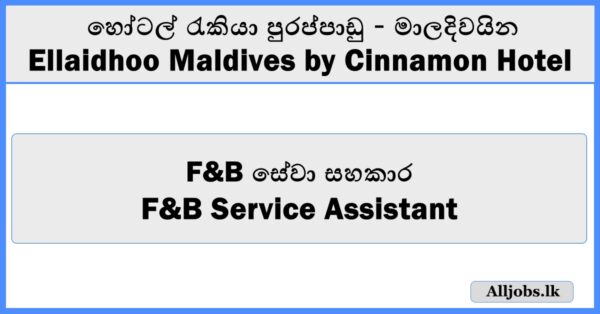 F&B Service Assistant - Ellaidhoo Maldives by Cinnamon Hotel