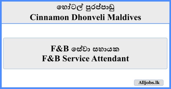 F&B Service Attendant - Cinnamon Dhonveli Maldives