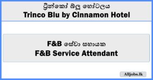 F&B Service Attendant - Trinco Blu by Cinnamon Hotel