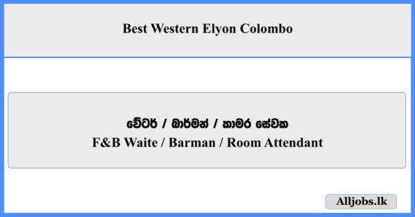F&B Waiter, Barman, Room Attendant - Best Western Elyon Colombo