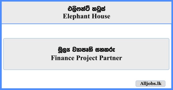 Finance Project Partner - Elephant House