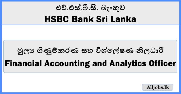 Financial Accounting and Analytics Officer - HSBC Bank