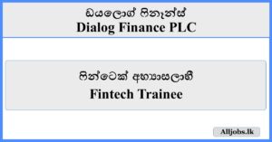 Fintech Trainee - Dialog Finance
