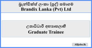 Graduate Trainee - Brandix Lanka