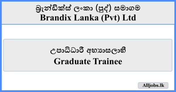 Graduate Trainee - Brandix Lanka