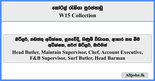 Head Butler, Maintain Supervisor, Chef, Account Executive, F&B Supervisor, Surf Butler, Head Barman - W15 Collection 2026