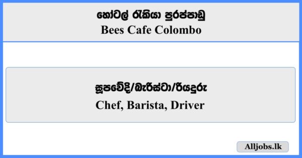 Head & Junior Chef, Barista, Driver - Bees Cafe Colombo