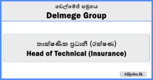 Head of Technical (Insurance) - Delmege Group