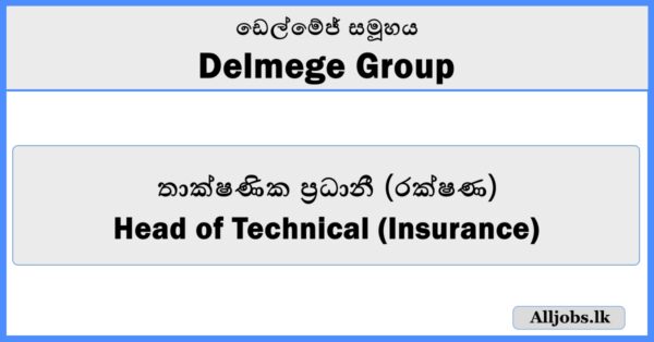 Head of Technical (Insurance) - Delmege Group