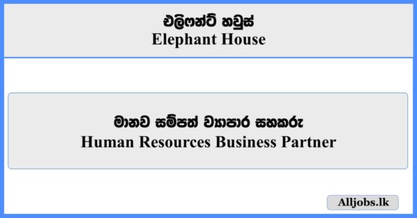 Human Resources Business Partner - Elephant House