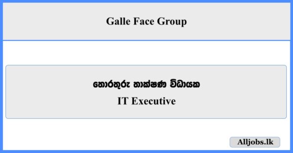 IT Executive - Galle Face Group
